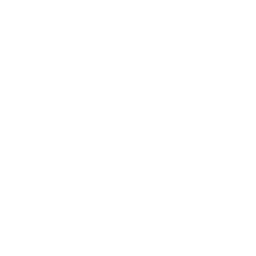 GooseCode